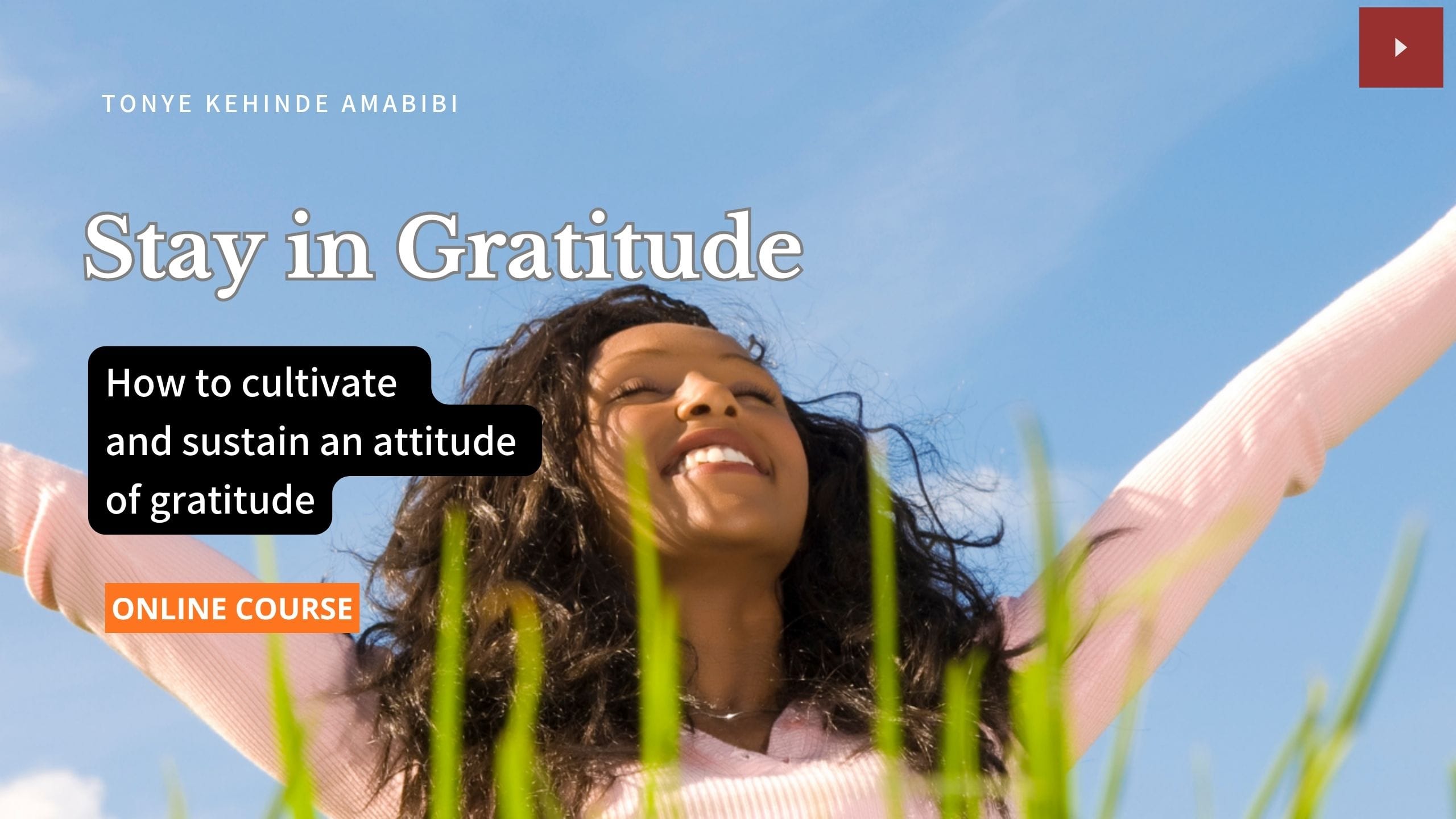 Stay in Gratitude